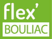 Ligne Ligne Flex'Bouliac